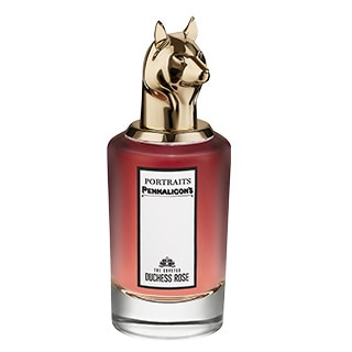 The Coveted Duchess Rose
