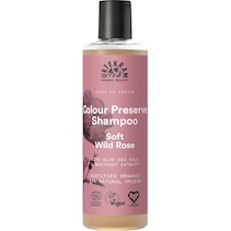 Soft Wild Rose