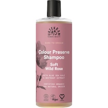 Soft Wild Rose