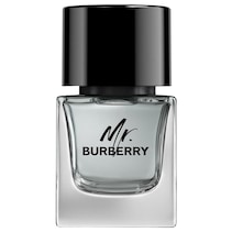 Mr. Burberry