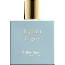 Hydra Figue