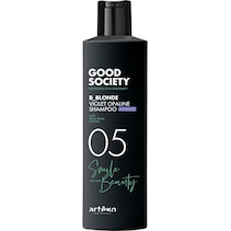Good Society