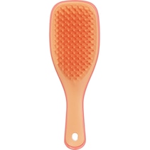 The Wet Detangler