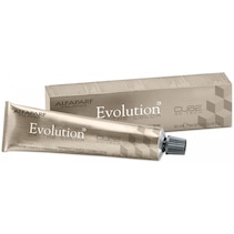 Evolution of the Color