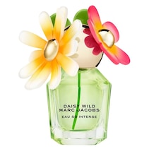 Daisy Wild