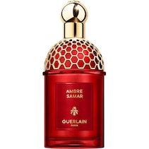 Absolus Allegoria