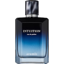 Intuition