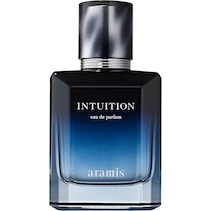 Intuition