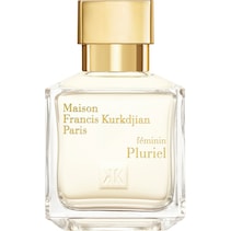 féminin Pluriel
