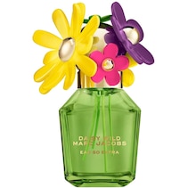 Daisy Wild