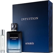 Intuition