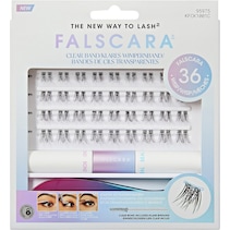 Falscara
